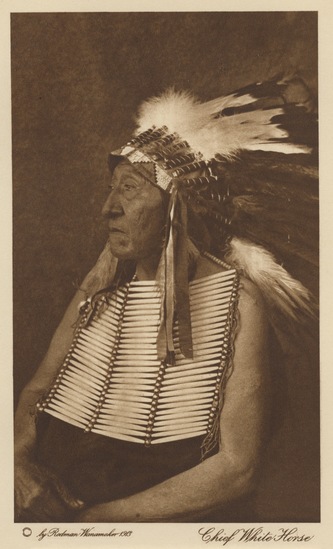 Photograph titled Chief White Horse, Photogravure, accession number 2002.43.23.