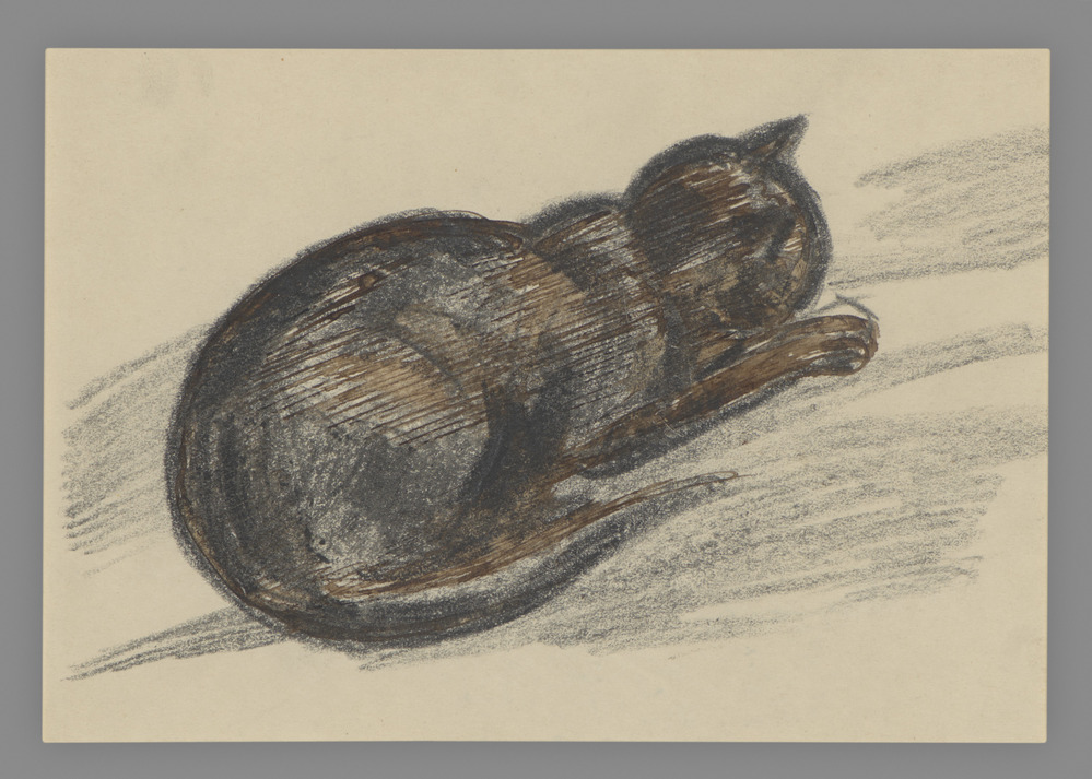 Drawing titled Cat Sleeping, pen, sepia ink, crayon on paper, accession number 1977.21.3.