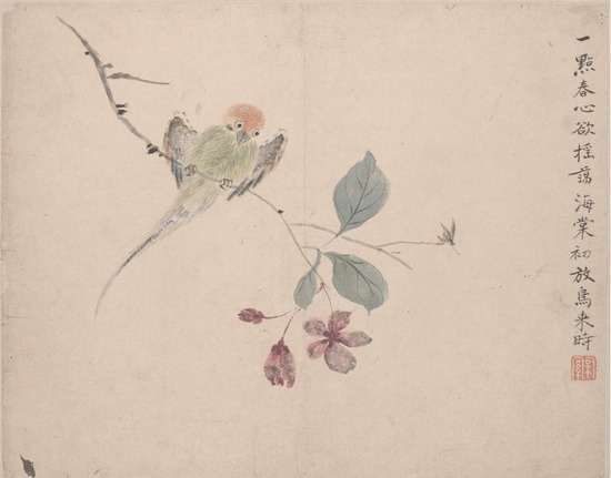 Birds (album of 10 leaves)