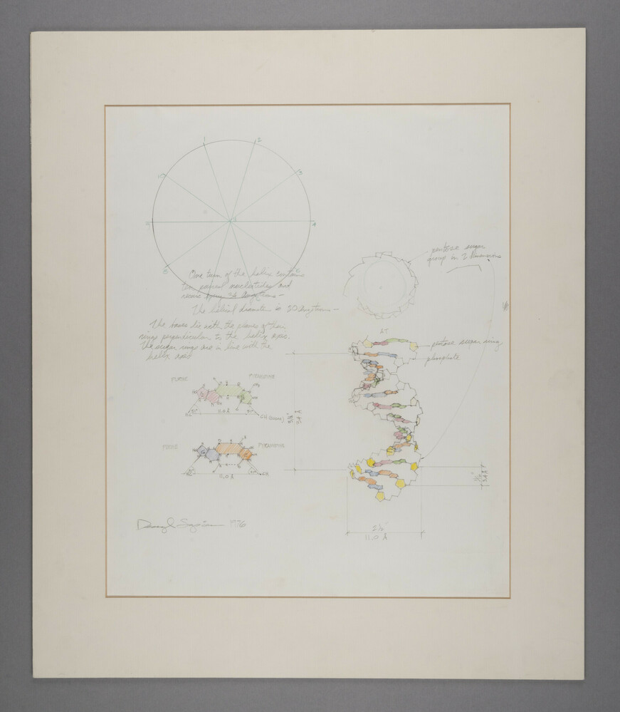 Drawing titled Study within the Nucleus, Colored pencil on paper, accession number 2005.18.2.