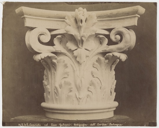 Photograph titled N. 741 Capitello nel Liceo Galvani, albumen print from wet-plate collodion negative, linen-backed, accession number 2002.43.224.