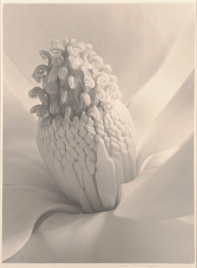 Photograph titled Tower of Jewels, silver bromide print, accession number X.1986.7.