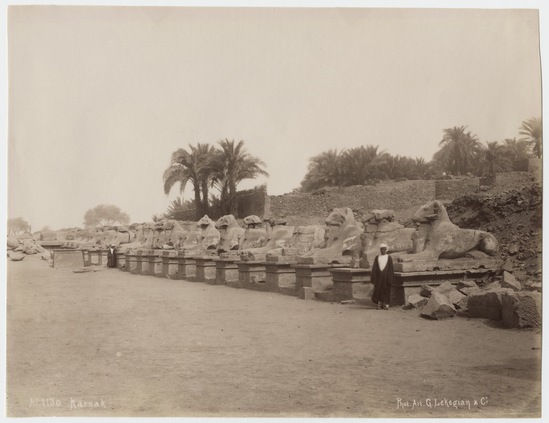 Photograph titled No.1130 Karnak, albumen, accession number 2002.43.806.