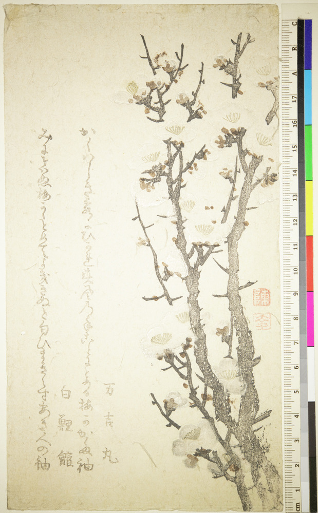 Print 2 of 2 titled Small branch of flowering plum, two poems, Full color woodblock print, silver accents on blossoms, embossing, accession number 1919.658.