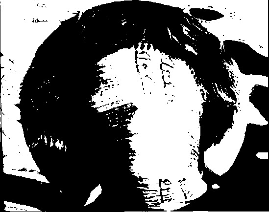 program page 35 of 42 titled Chris Marker Silent movie, source: Wexner Center for the Arts