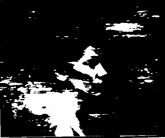 program page 22 of 42 titled Chris Marker Silent movie, source: Wexner Center for the Arts