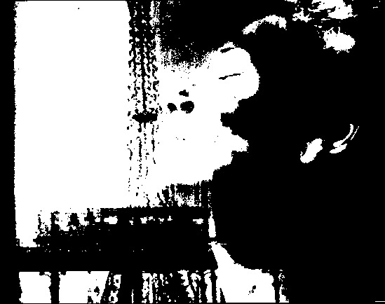 program page 31 of 42 titled Chris Marker Silent movie, source: Wexner Center for the Arts