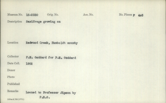 Documentation associated with Hearst Museum object titled Black-and-white negative, accession number 15-2930, described as Saxifrage growing [?}