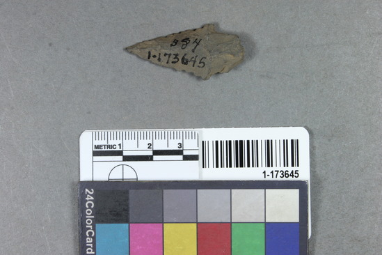 Hearst Museum object titled Point, accession number 1-173645, described as Arrow head