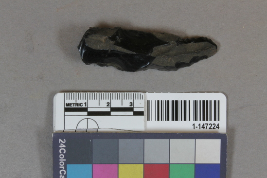 Hearst Museum object titled Blade, accession number 1-147224, described as obsidian blade frag.