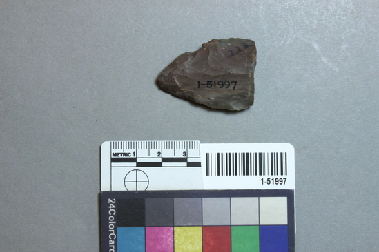 Hearst Museum object titled Projectile point fragment, accession number 1-51997, described as Arrow point fragment.