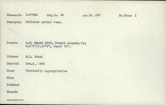 Documentation associated with Hearst Museum object titled Worked bone, accession number 1-37460, described as Animal; polished.