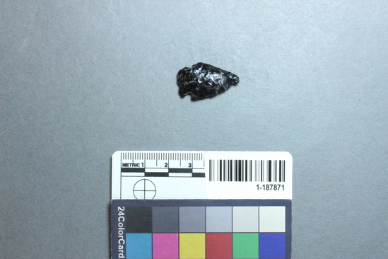 Hearst Museum object titled Projectile point, accession number 1-187871, described as Obsidian