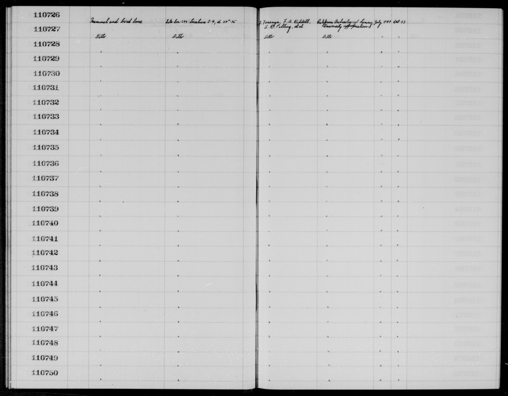 Documentation associated with Hearst Museum object titled Faunal remains, accession number 1-110748, described as Mammal and bird.