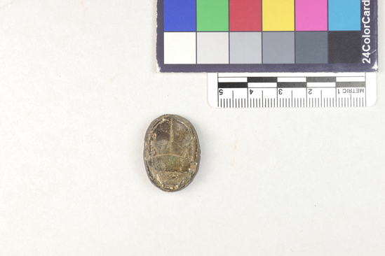 Hearst Museum object 7 of 8 titled Scarab, accession number 5-13943, described as Scarab: Greenish tint on back and holes drilled by head and tail. Much worn off on sides and inscription on underside. Gash on left side.