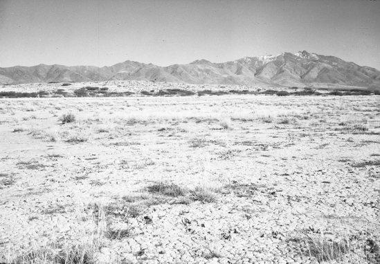 Hearst Museum object titled Black-and-white negative, accession number 15-19711, no description available.