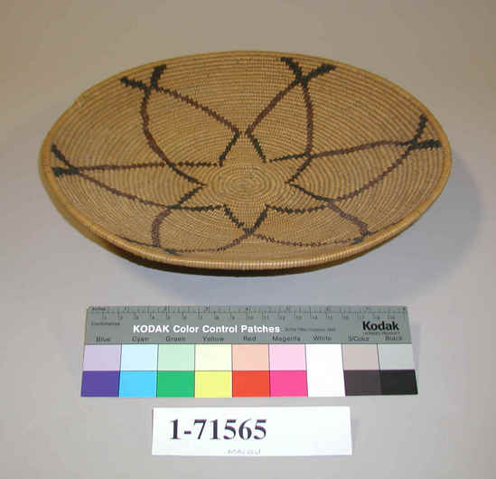 Hearst Museum object titled Basket, accession number 1-71565, described as Coiled, tray.