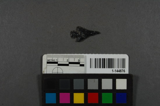 Hearst Museum object titled Projectile point, accession number 1-144876, described as Obsidian