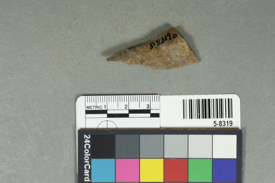 Hearst Museum object 15 of 25 titled Flakes, accession number 5-8319, described as Chert flakes