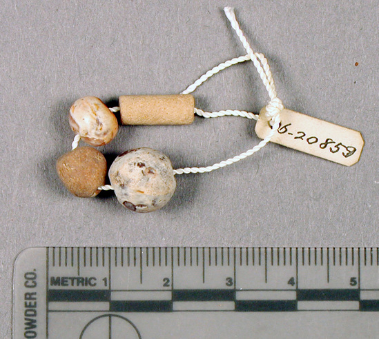 Hearst Museum object titled Mixed beads, accession number 6-20859, described as two carnelian, two shell beads. Late Middle Empire