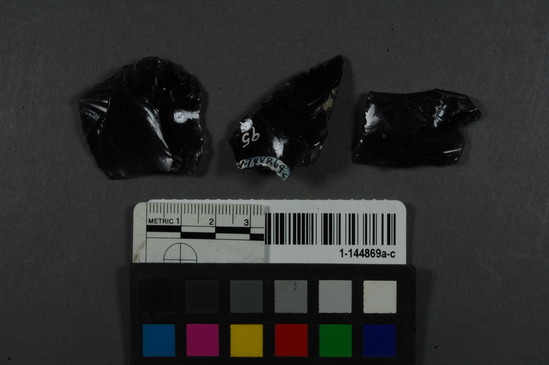 Hearst Museum object titled Scraper, accession number 1-144869a-c, described as Obsidian