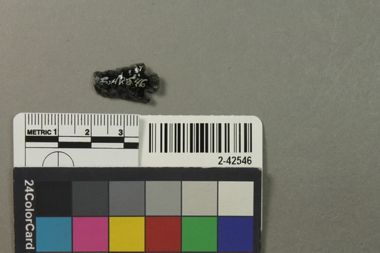 Hearst Museum object titled Projectile point, accession number 2-42546, described as No description given on catalog card.