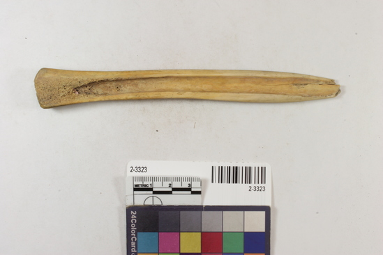 Hearst Museum object titled Bone tool, accession number 2-3323, described as bone implement