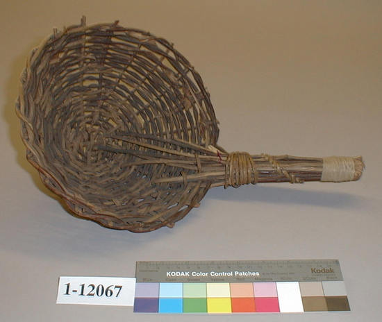 Hearst Museum object 1 of 2 titled Seed beater, accession number 1-12067, described as Seed beater; twined. Warp and weft are Willow (Salix). The type peculiar to the extreme northern part of the Pomo territory. Maker George Dobson.