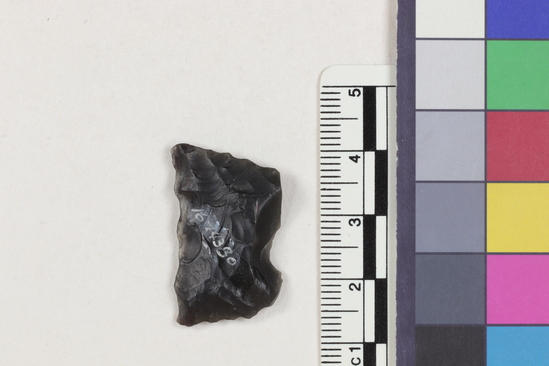 Hearst Museum object 2 of 2 titled Flake fragment, accession number 16-14380, described as Projectile point fragment; obsidian; triangular; weight: 2.64 grams; length: 1.75 cm; width: 2.86 cm; depth: 0.47 cm.