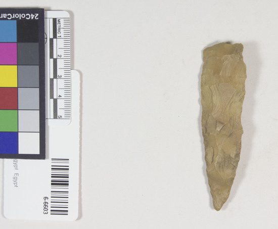 Hearst Museum object titled Spear point, accession number 6-6603, described as Flint spear point