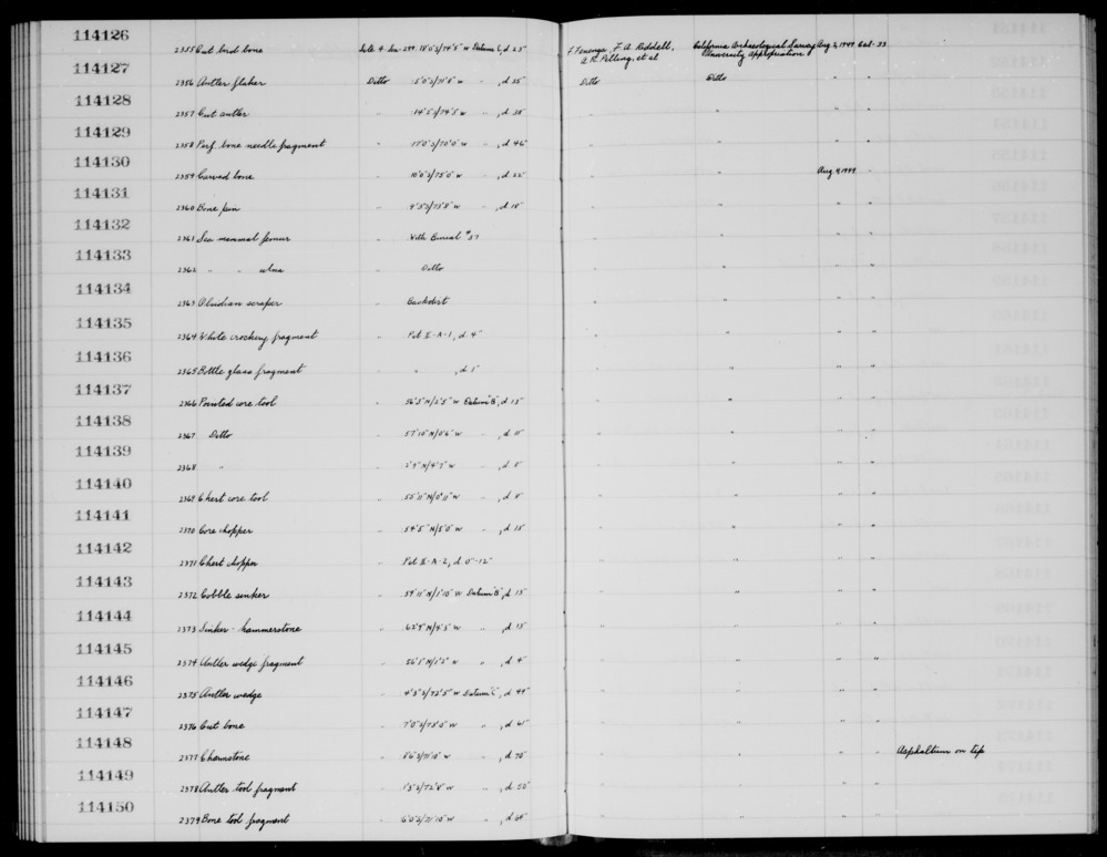 Documentation associated with Hearst Museum object titled Mammal bone, accession number 1-114132, described as Sea mammal femur