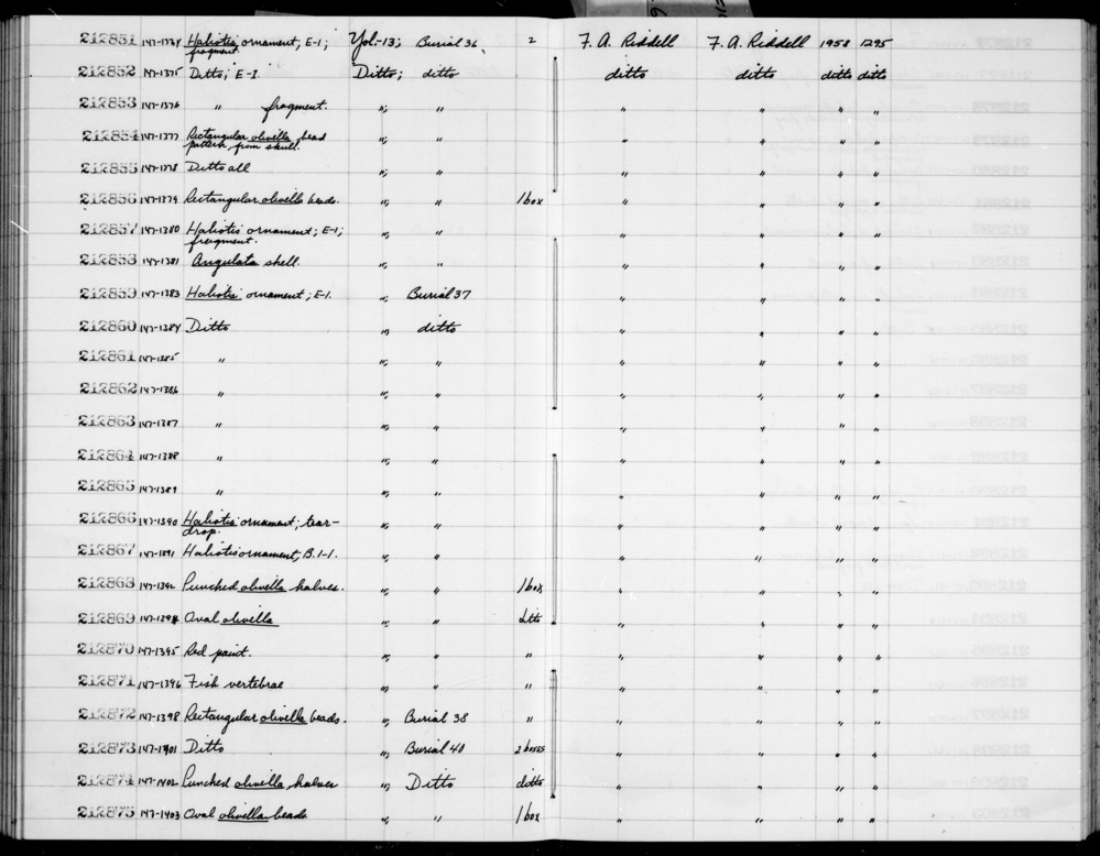 Documentation associated with Hearst Museum object titled Bead pattern, accession number 1-212855, described as Rectangular olivella bead pattern.