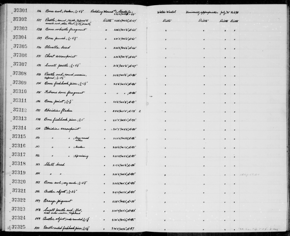 Documentation associated with Hearst Museum object titled Worked antler, accession number 1-37321, described as Antler object