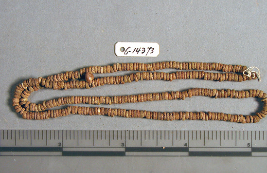 Hearst Museum object titled Beads, accession number 6-14373, described as String shell disc beads: length 40 cm.