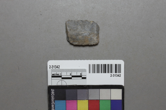 Hearst Museum object titled Projectile point or scraper fragment, accession number 2-31342, described as Blade scraper or projectile point base.