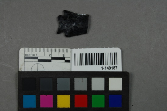 Hearst Museum object titled Point fragment, accession number 1-149187, described as Obsidian projectile, expanding stem, concave base, corner notched