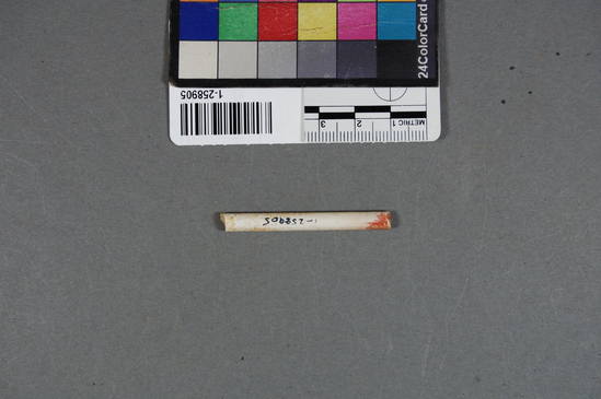 Hearst Museum object 1 of 2 titled Ceramic pipe stem, accession number 1-258905, described as No description given on catalog card