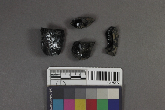 Hearst Museum object titled Projectile point fragments, accession number 1-125872, described as Obsidian projectile point blank, fragment.