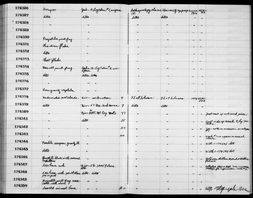 Documentation associated with Hearst Museum object titled Awl, accession number 1-174347, described as Deer bone.