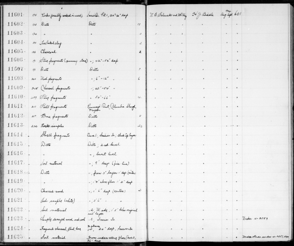 Documentation associated with Hearst Museum object titled Wood fragments, accession number 2-11608, described as Wood fragments.