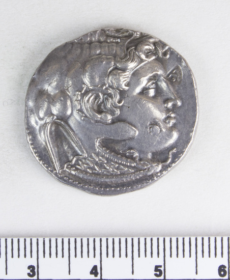 Hearst Museum object 4 of 4 titled Coin: ar tetradrachm, accession number 8-4306, described as Coin; AR; Tetradrachm; Greek. 15.67 grams, 28.3 mm. Ptolemy I of Egypt, 323-305 BC. Obverse: Bust of Alexander r. wearing ram’s horns and elephant scalp. Reverse: ΑΛΕΞΑΝΔΡ and two monograms, Athena Promacho, striding r. with shield and spear.