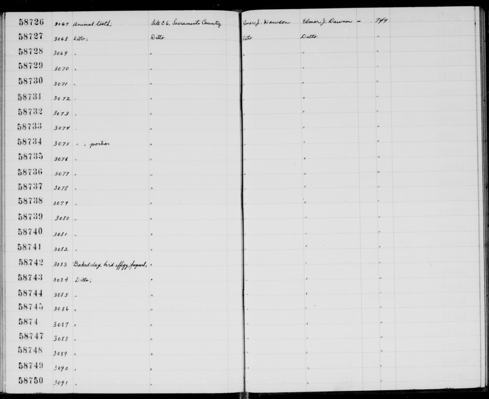 Documentation associated with Hearst Museum object titled Tooth, accession number 1-58733, described as Animal