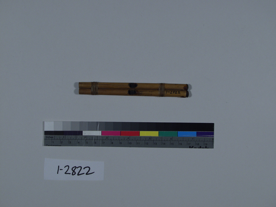 Hearst Museum object titled Whistle, accession number 1-2822, described as Reed, double. Two reeds, each with single slot near center, lashed together with sinew. Distal ends plugged with clear mastic.