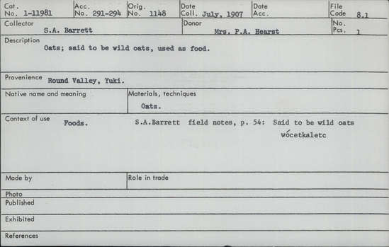 Documentation associated with Hearst Museum object titled Oats, accession number 1-11981, described as Said to be wild oats   wocetkaletc, used as food. The main component of the specimen consists of florets of Avena fatua L., wild oat, Poaceae. Other items found and placed in gelatin capsules: 20 florets of Bromus hordeaceus L., soft chess, soft brome, lopgrass, or brome mou, Poaceae; 1 floret of Vulpia bromoides (L.) Gray, brome fescue or squirreltail fescue, Poaceae; 1 floret of Elymus sp., Poaceae; 1 awn from the fruit of Erodium sp., filaree, Geraniaceae