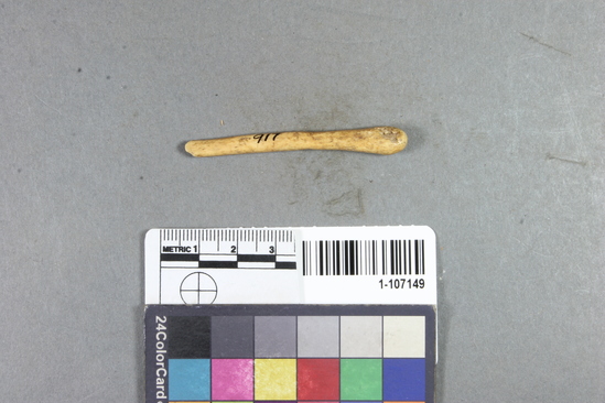 Hearst Museum object titled Worked bone, accession number 1-107149, described as Bone.