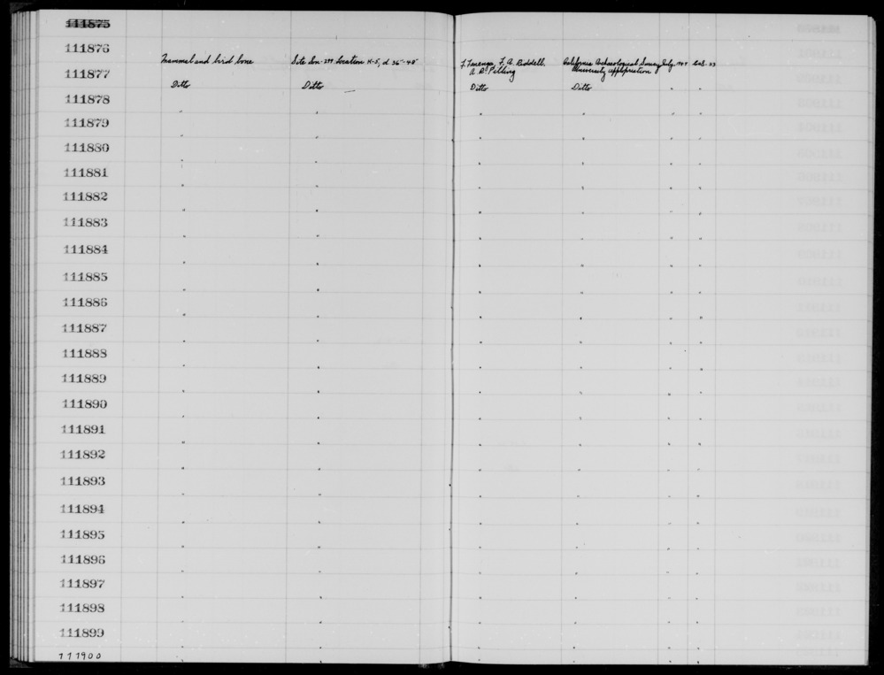 Documentation associated with Hearst Museum object titled Faunal remains, accession number 1-111899, described as Mammal and bird.