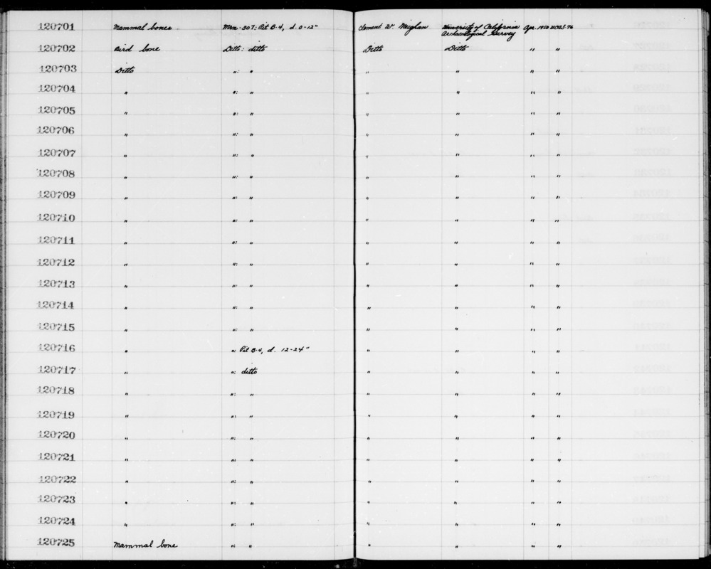 Documentation associated with Hearst Museum object titled Bird bone, accession number 1-120710, described as Bird bone.