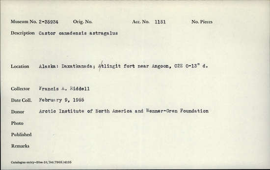 Documentation associated with Hearst Museum object titled Mammal bone, accession number 2-35934, described as Castor canadensis, atragalus.