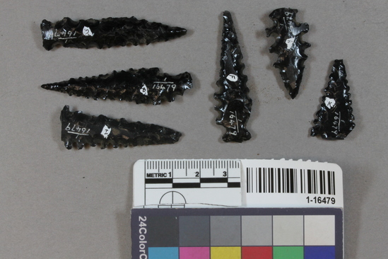 Hearst Museum object titled Projectile points, accession number 1-16479, described as serrated slender obsidian arrowpoints