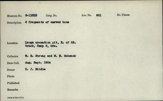 Documentation associated with Hearst Museum object titled Worked bone fragments, accession number 2-11513, described as Carved.